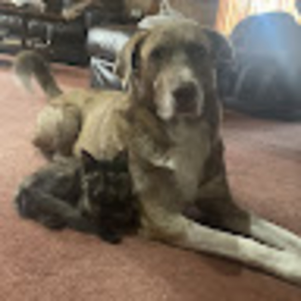 Meet your Posher, Jerry